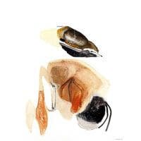 Gemälde: Mussels | 2005